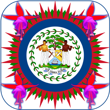 Fuchsia Programming Belize