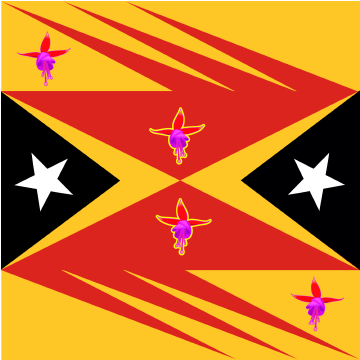 Fuchsia Programming Timore-Leste