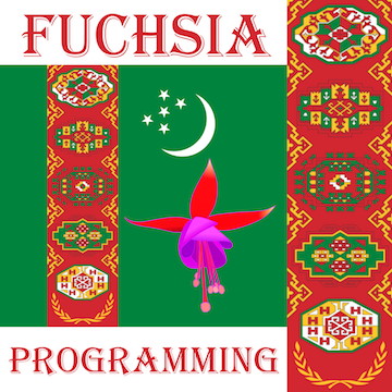 Fuchsia Programming Turkmenistan